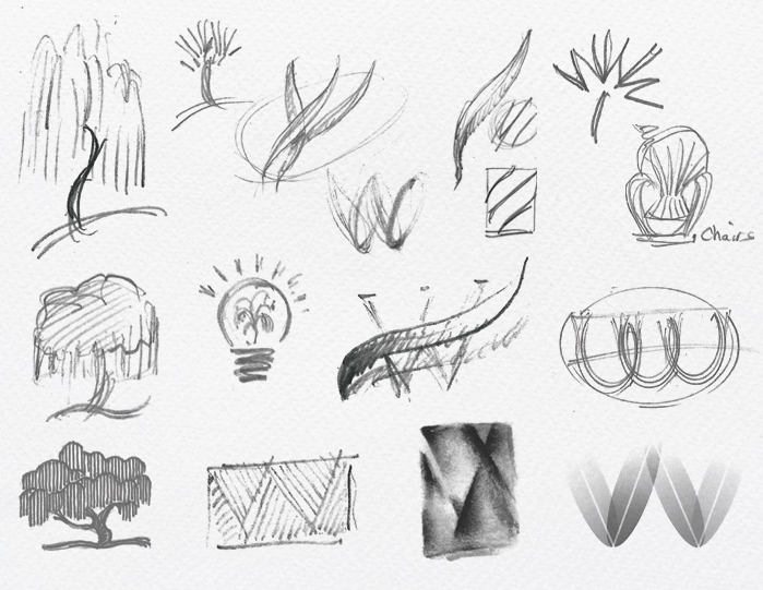 New Willow Logo Sketches