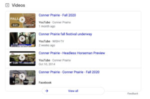 Video listings in search results